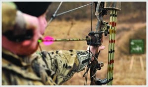 3 tips lead to accurate bow-and-arrow shooting.